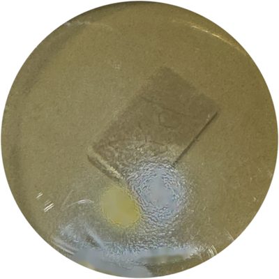 Mold plate: 24 hours running, no colonies