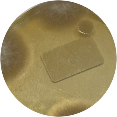 Mold plate: 4 hours running, about four colonies