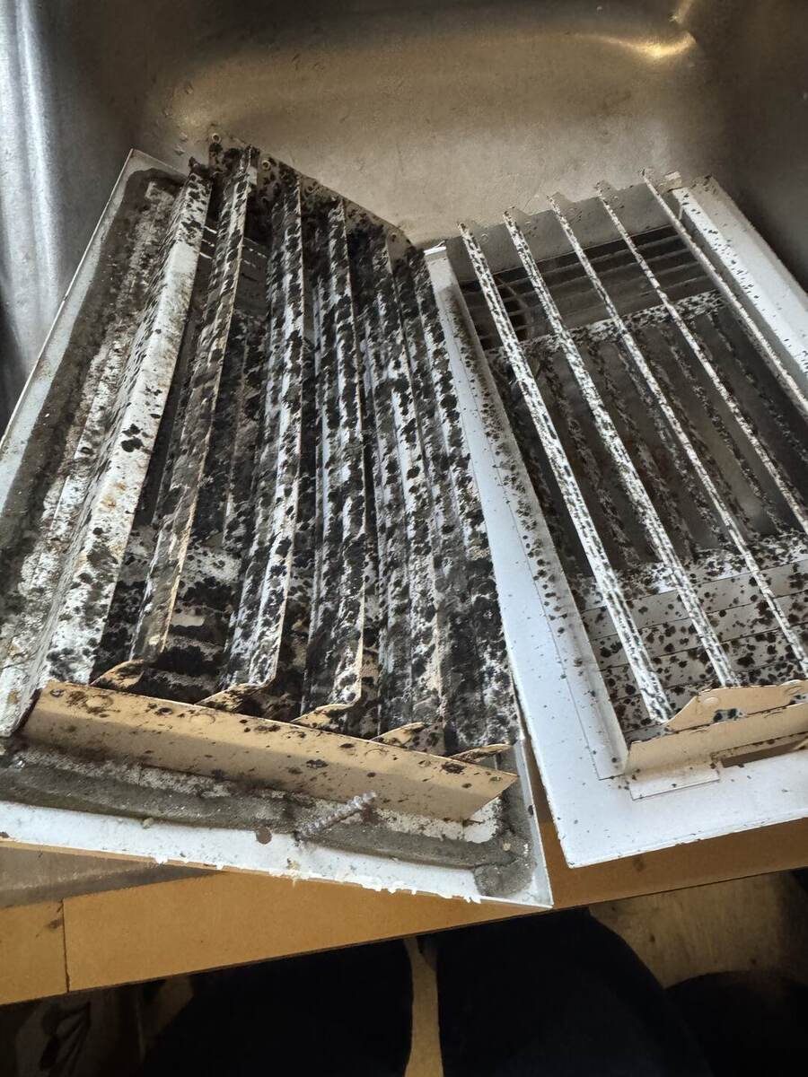 Two removed air vent grilles covered in heavy black growth