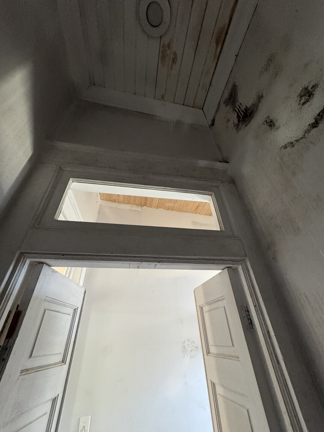 Open attic hatch with mold staining spreading across the ceiling around the opening