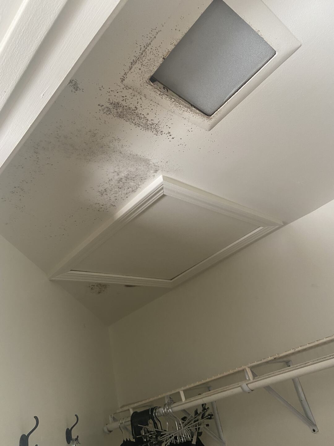 Mold growth ringing an attic access hatch in a closet ceiling