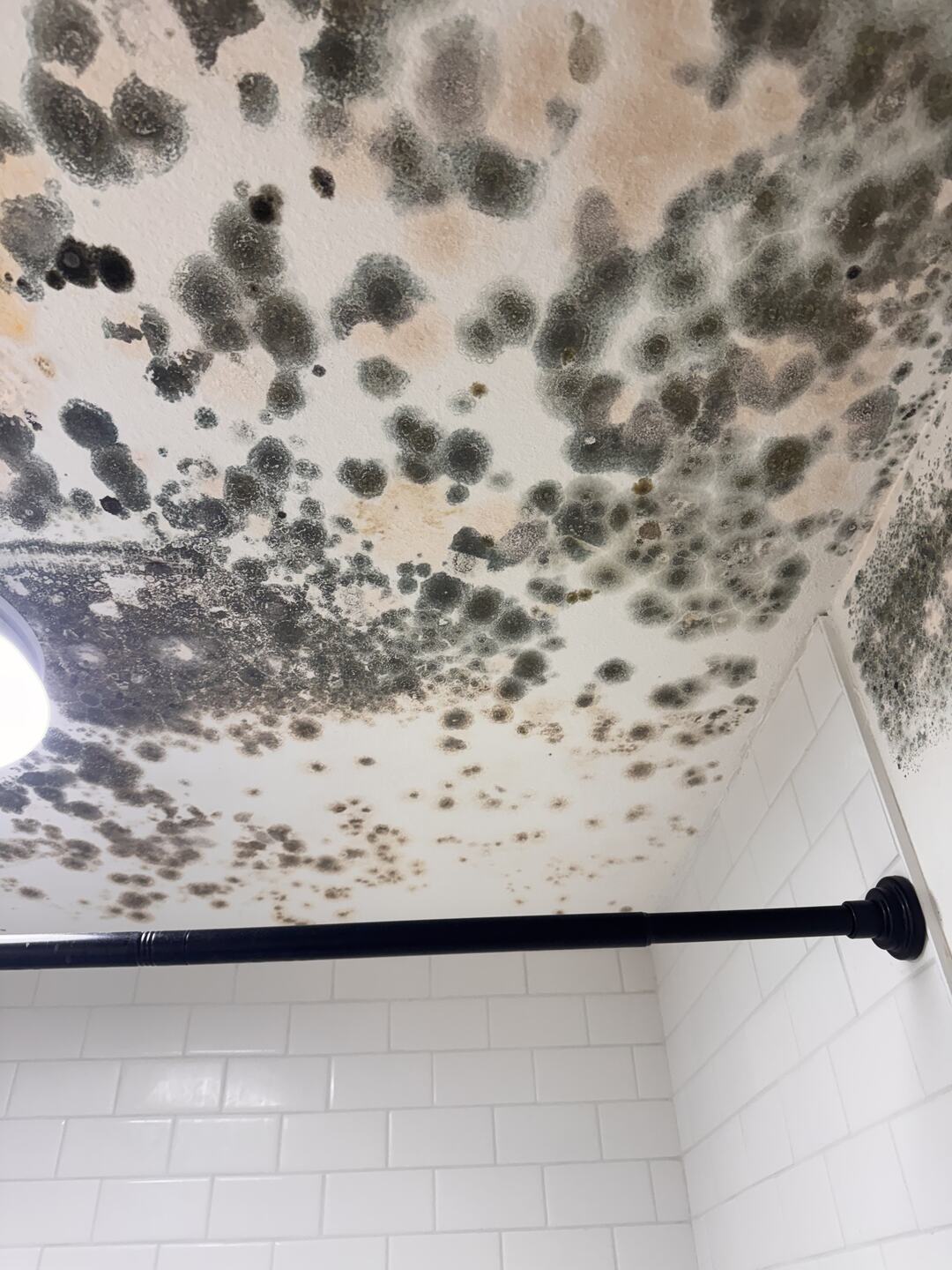 Dark mold colonies spread across a bathroom ceiling directly above a tiled shower