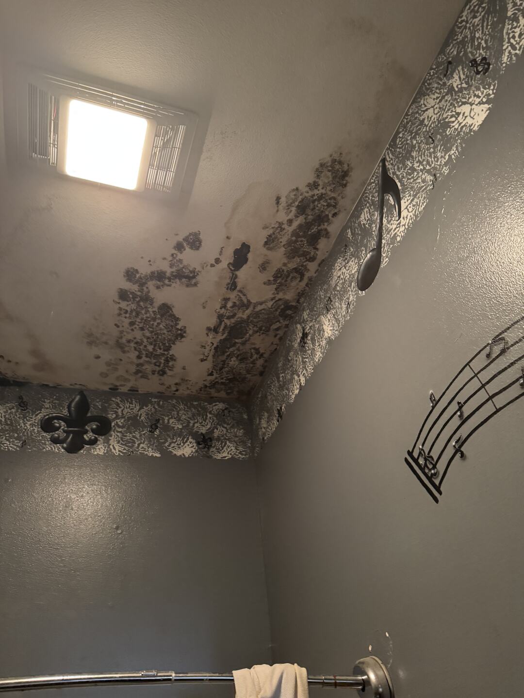 Mold spreading along a sloped bathroom ceiling beside an extractor fan