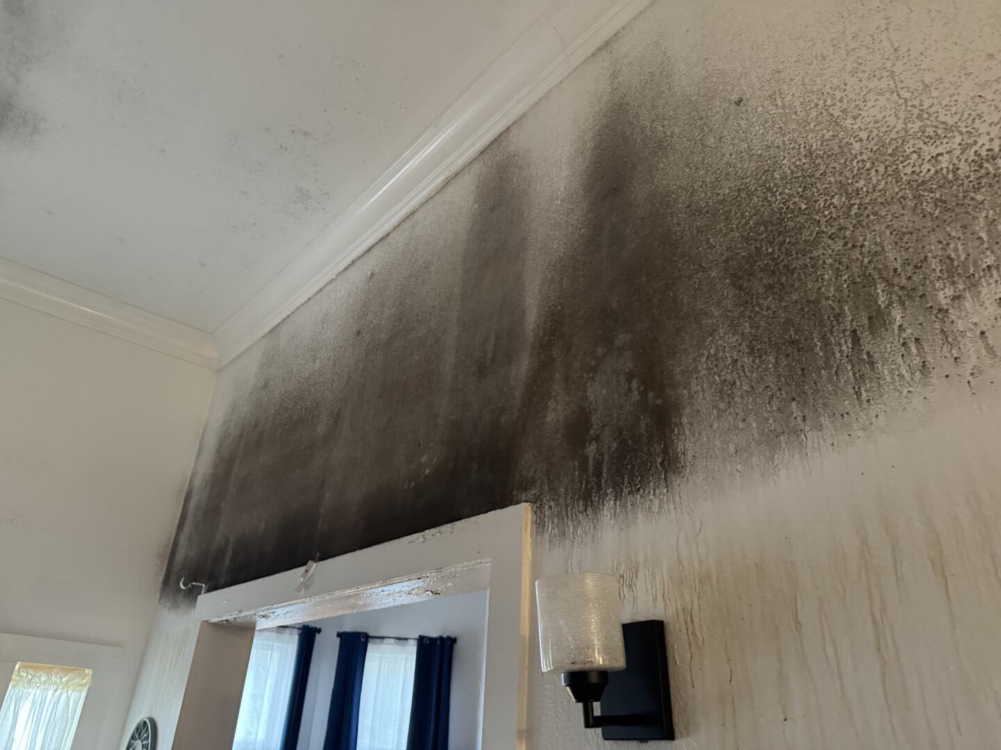 A wide band of black mold across the top of an interior wall above a doorway
