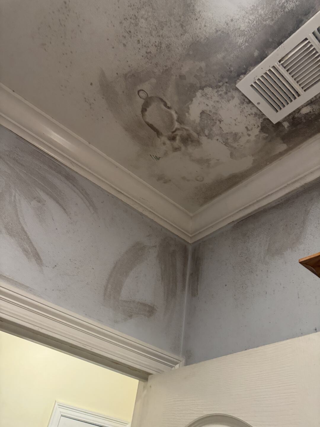 Curved wipe marks across a stained ceiling corner where mold was cleaned with bleach and grew back