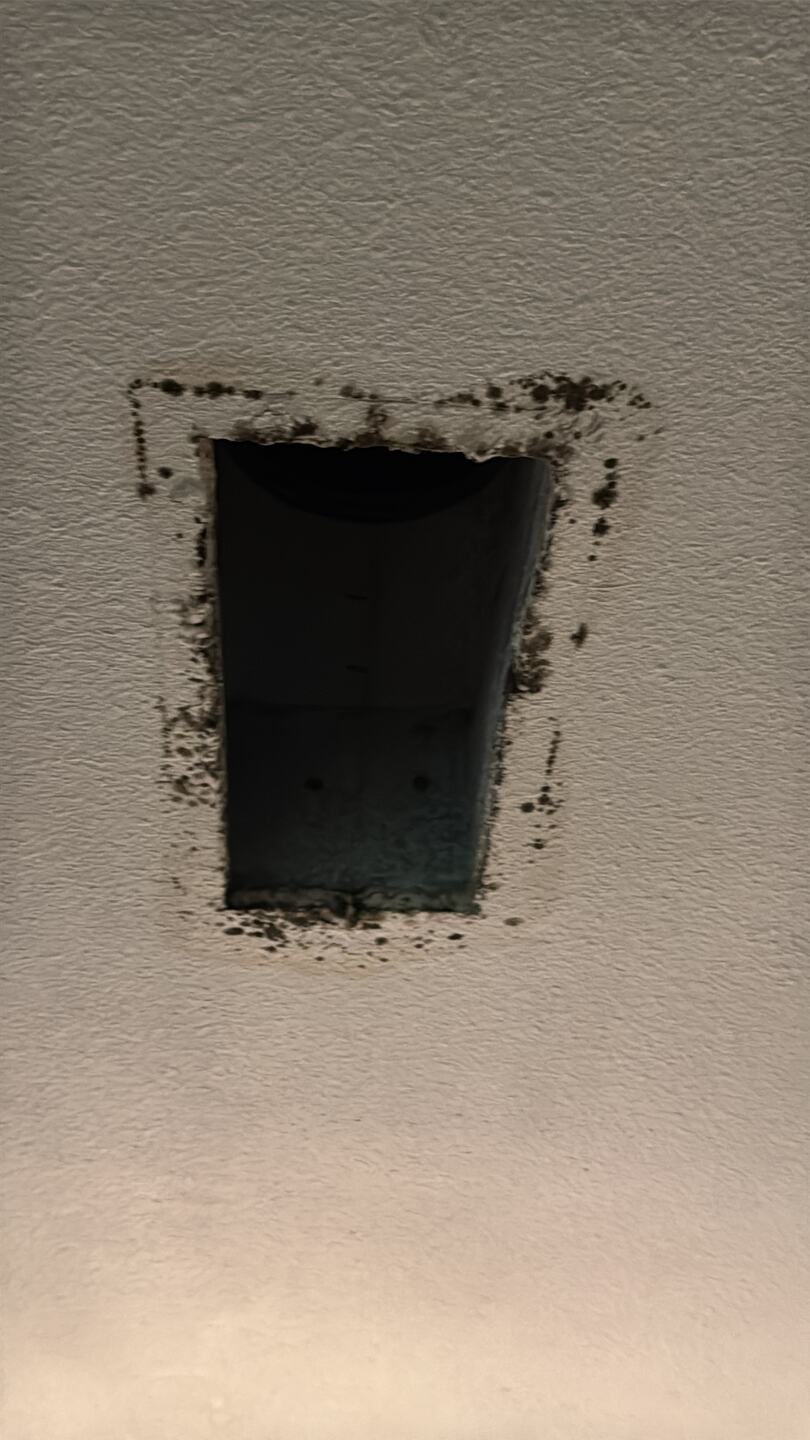 A ceiling supply opening ringed with black mold growth after the grille was removed