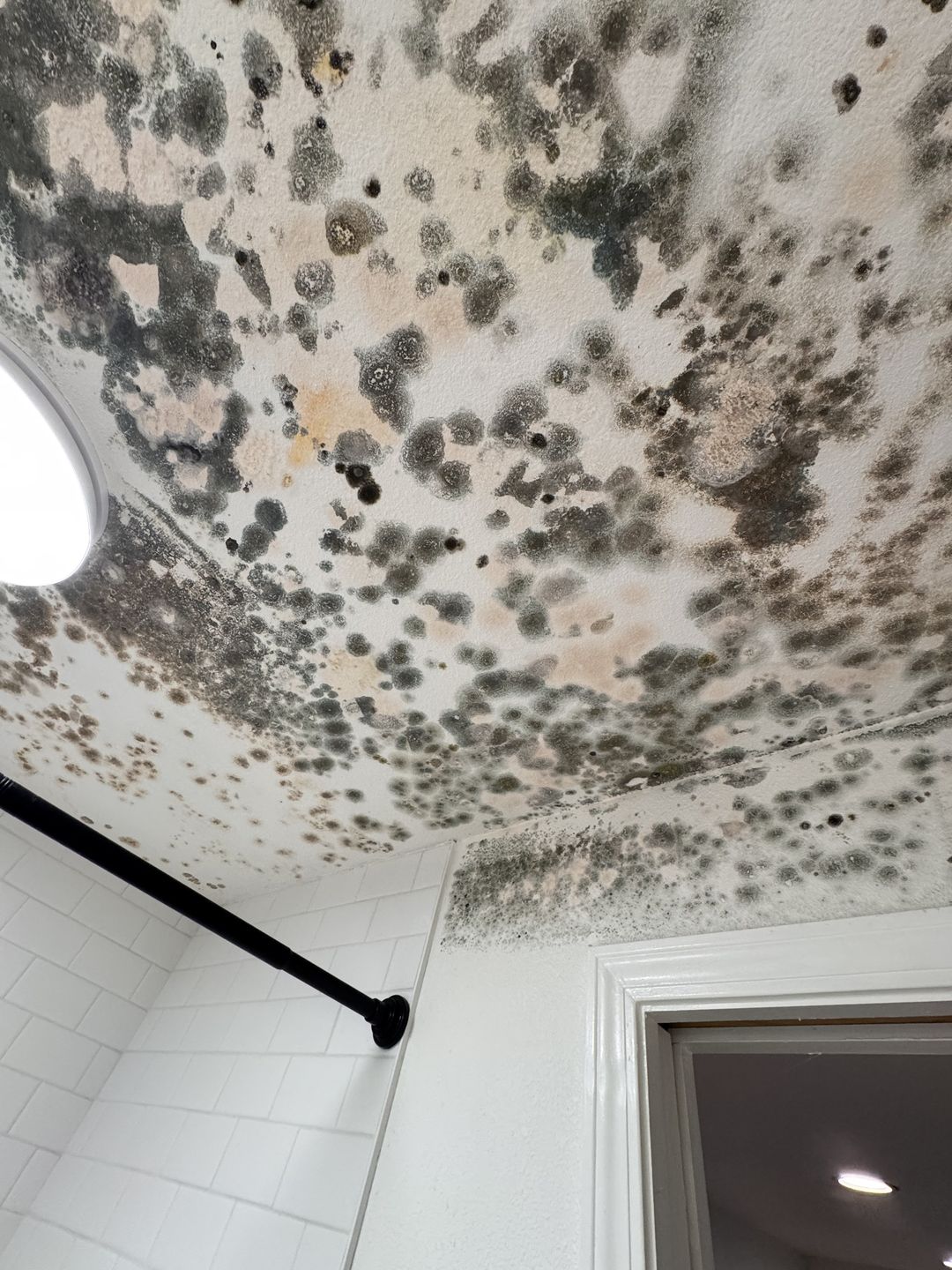 Black spots of growth spread across a bathroom ceiling above the shower