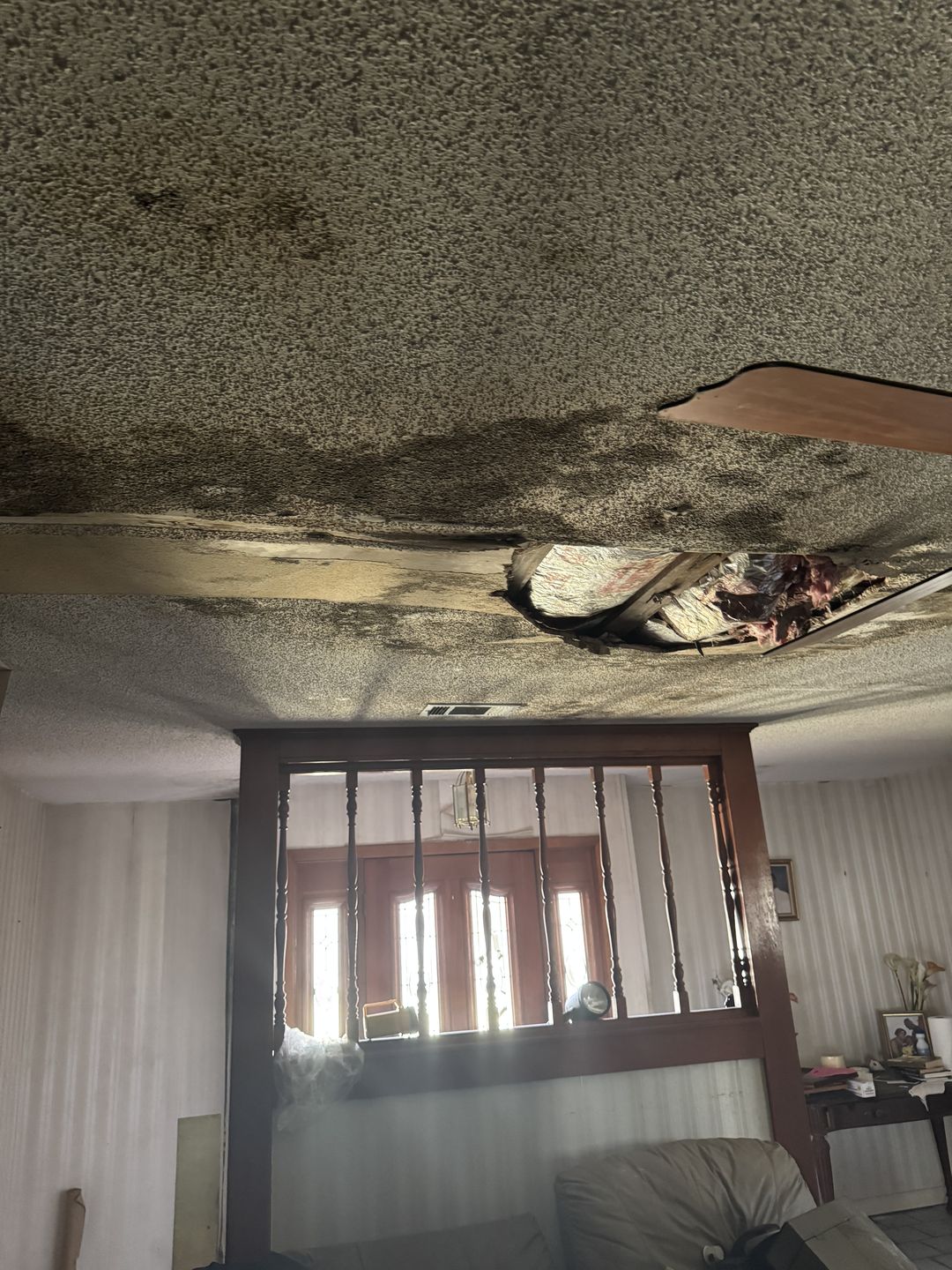 Collapsed ceiling with growth after a long-running roof leak