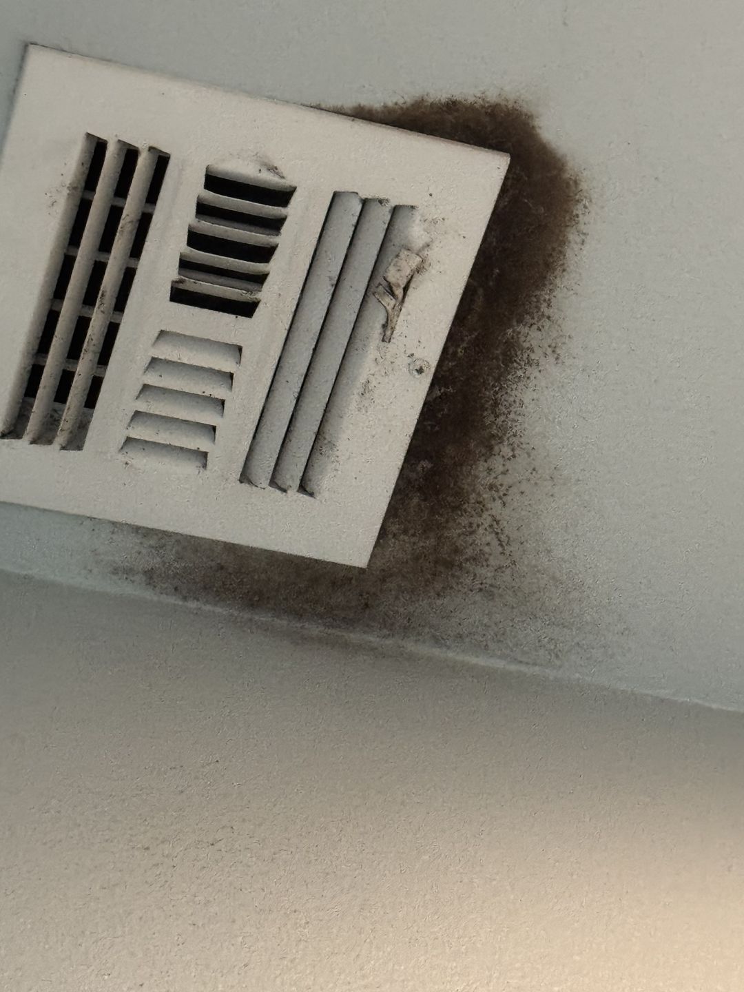 Black growth fanning out around a ceiling supply vent