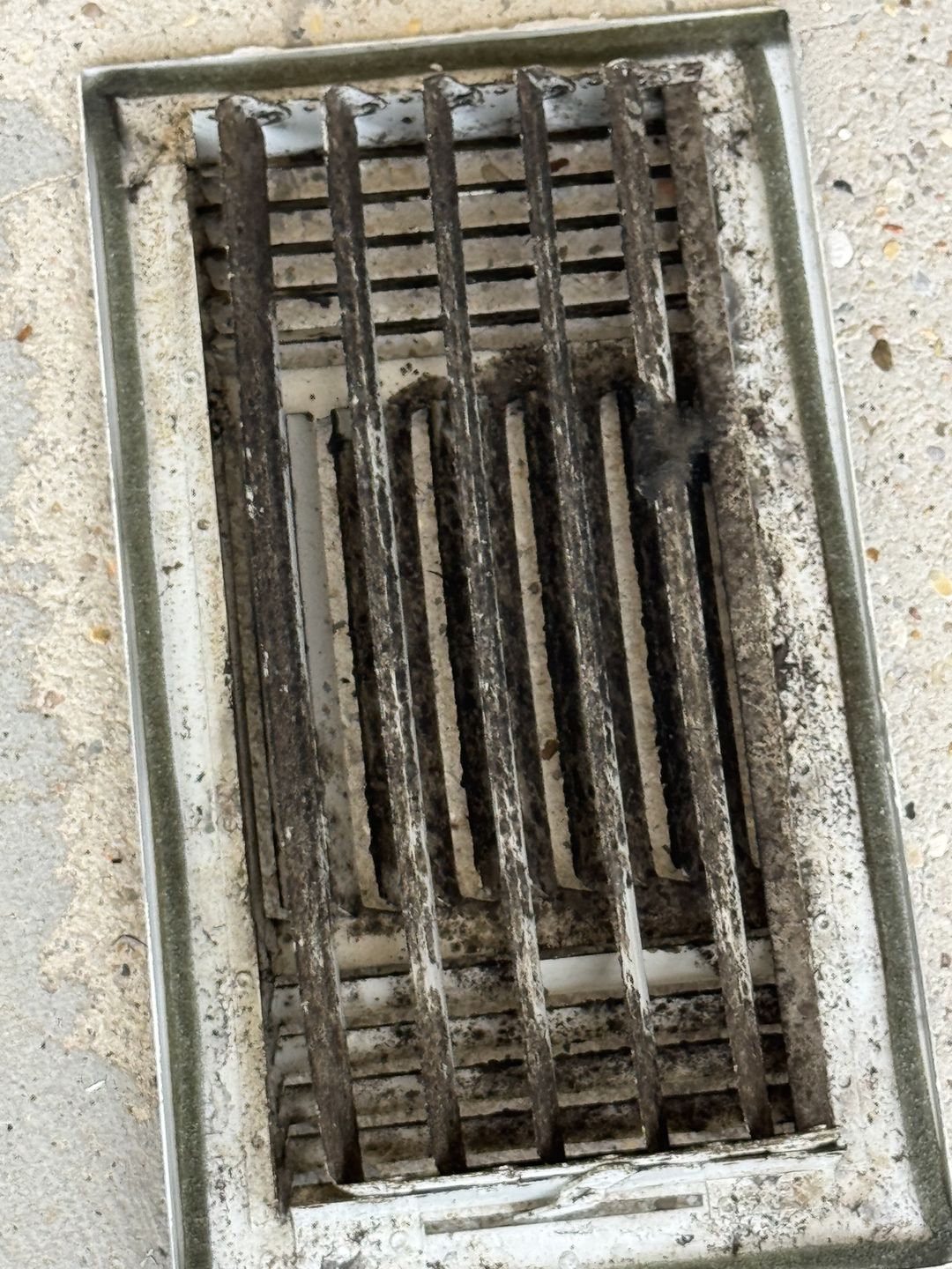 A floor vent cover packed with growth, removed for cleaning