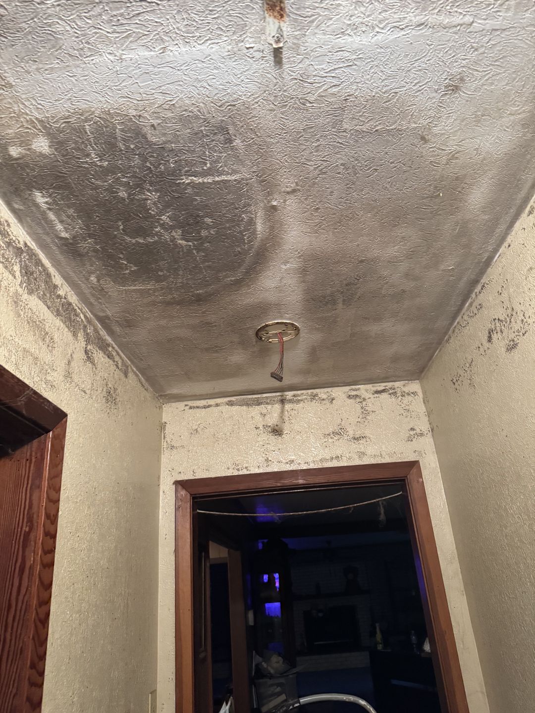 Growth and water staining across a hallway ceiling
