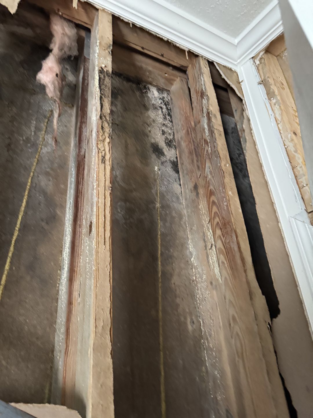 Growth inside an open wall cavity