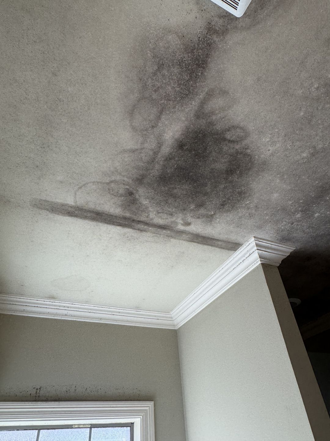 Swirled growth across a ceiling next to a supply vent