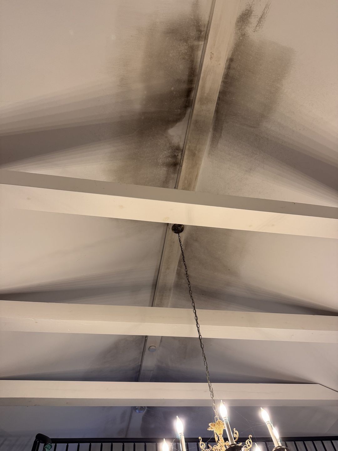 Dark growth at the peak of a vaulted ceiling along a wood beam