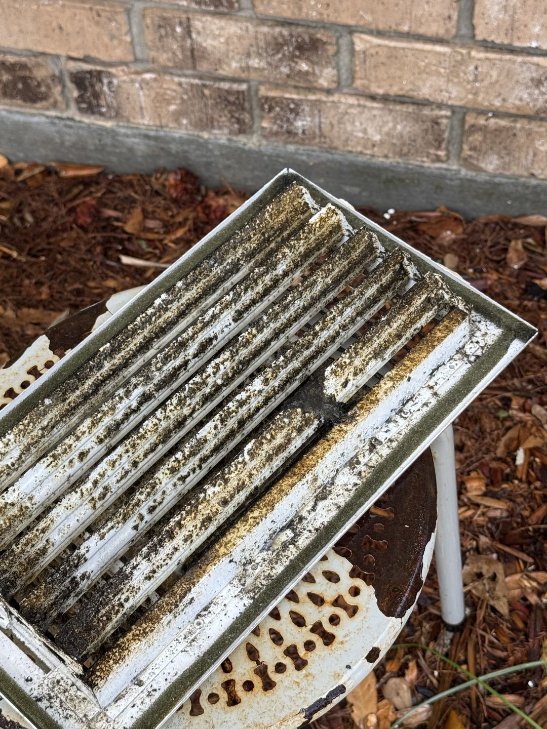 A vent cover pulled from a house with growth packed into every fin