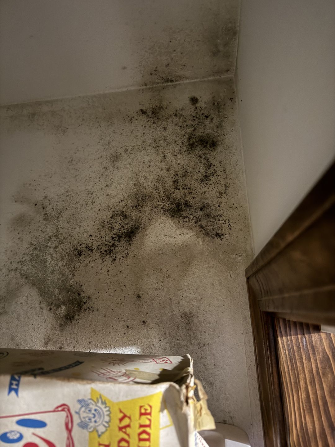 Dark growth on a wall and ceiling above a cabinet