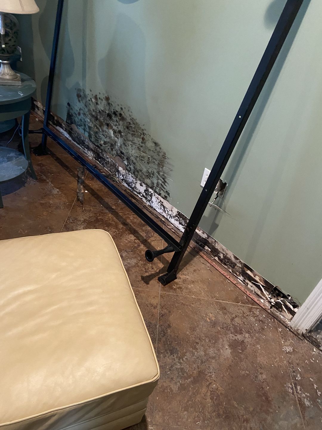 A wall opened at the floor, showing growth and rusted framing