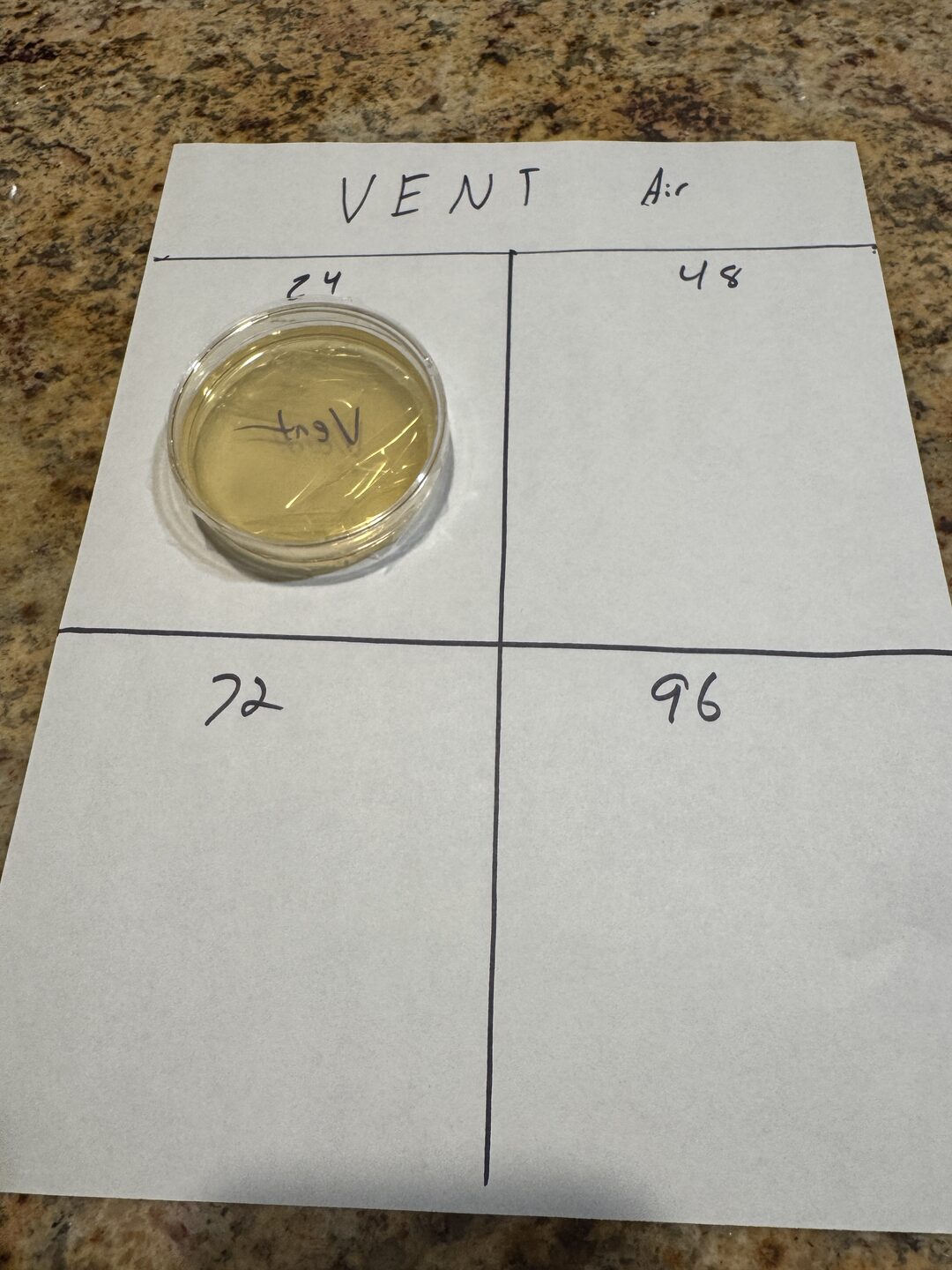 A petri plate at 24 hours on a hand-marked card, medium still clear with no visible growth